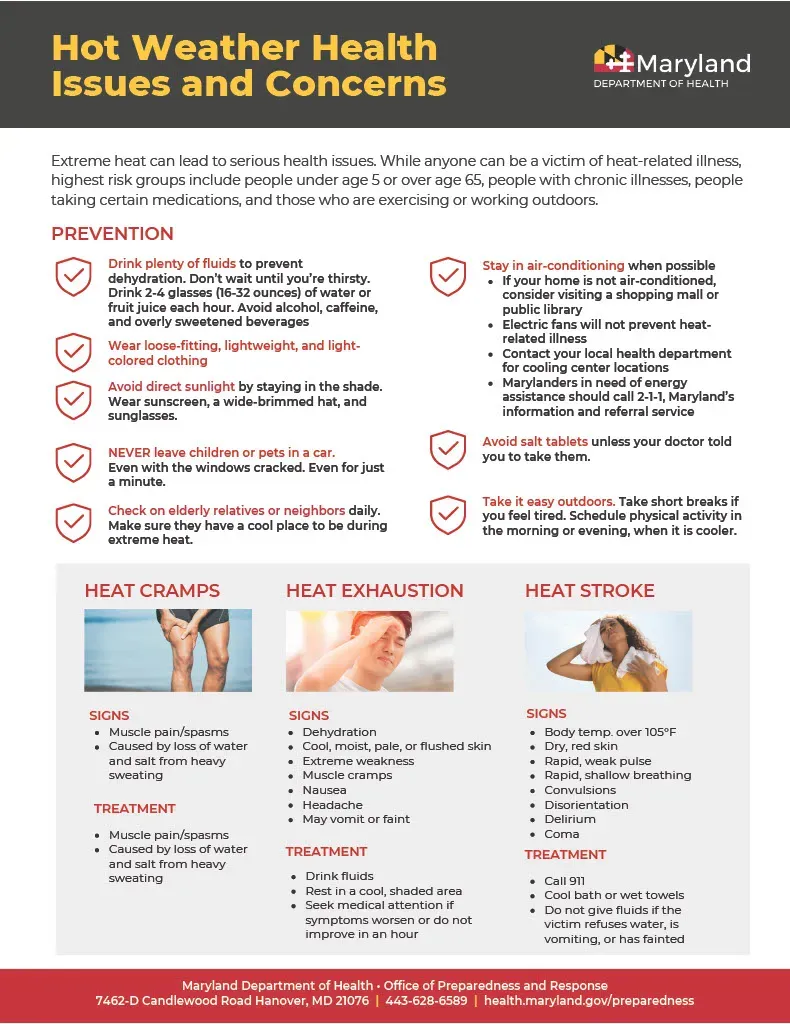 image dk7w8epbgw.webp