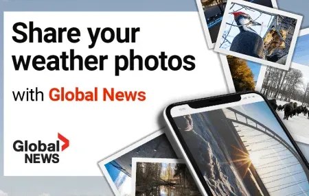 image ys49xs2iun.webp